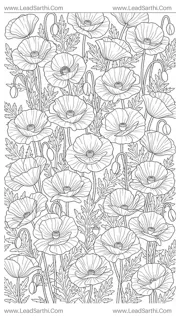 Wild Poppy Meadow: Full-Page Borderless Botanical Line Art Coloring Sheet Design Template