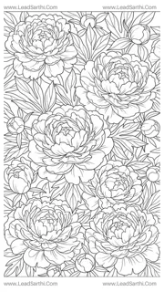 Lush Peony Blossom Carpet: Intricate Full-Page Floral Line Art for Adult Coloring Design Template
