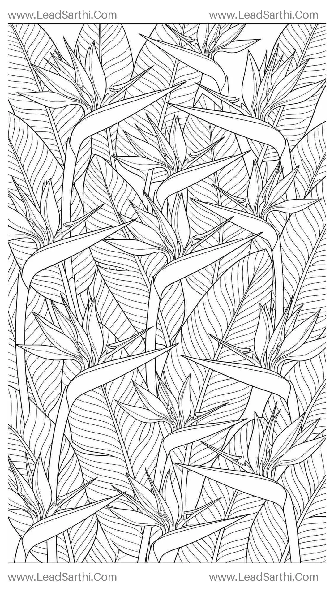 Exotic Bird of Paradise Canopy: High-Detail Full-Page Architectural Coloring Sheet Thumbnail