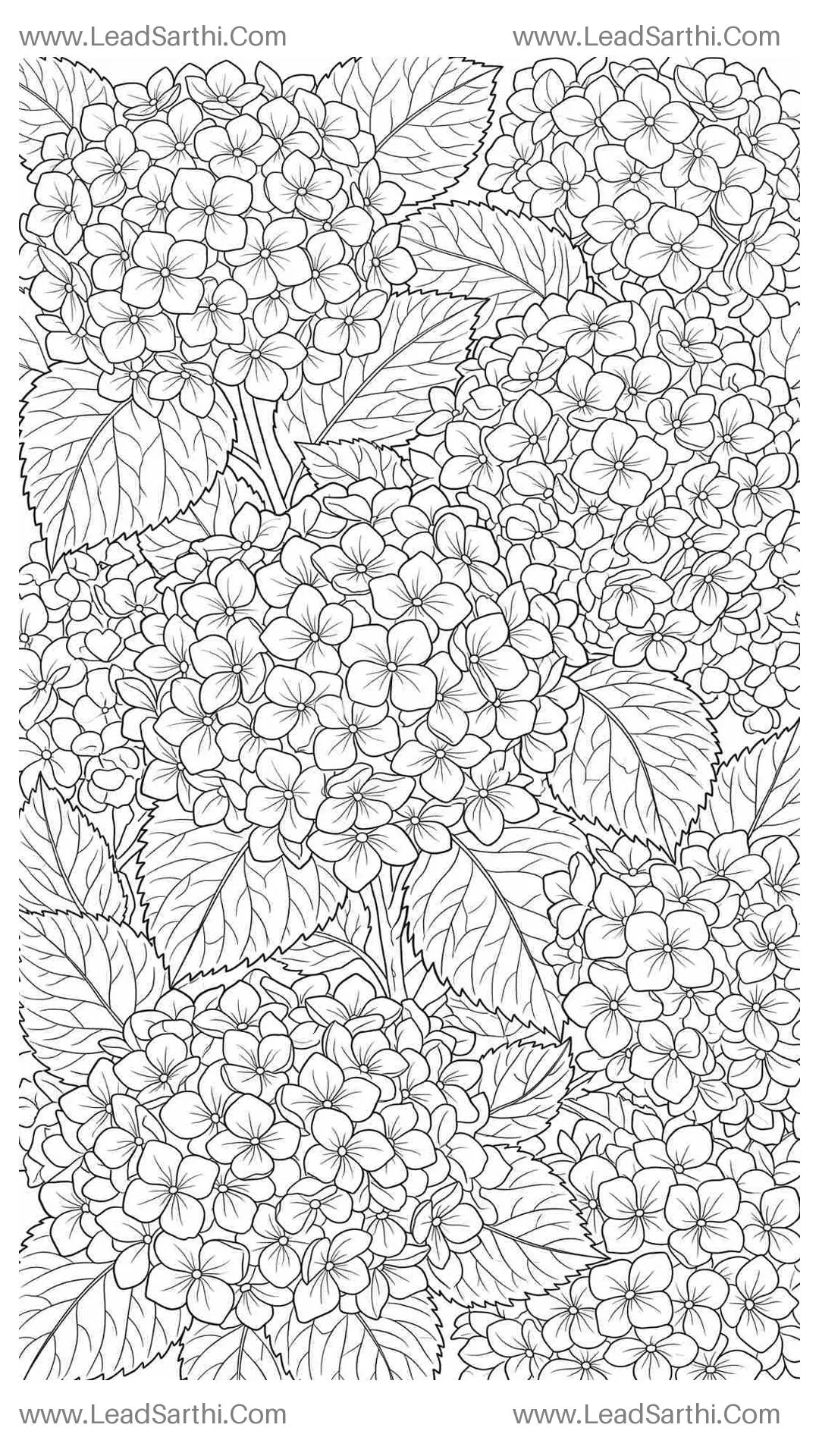 Ornate Hydrangea Cluster Page: Intricate Meadow Line Art for Adult Colorists Thumbnail