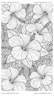 Tropical Hibiscus Canopy: Bold & Detailed Exotic Floral Line Art to Print and Color Design Template