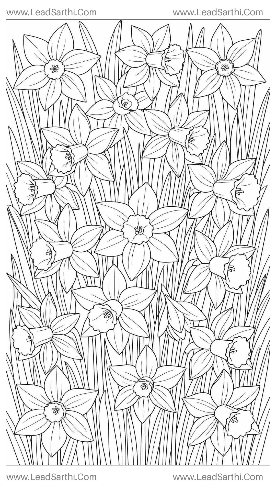 Dancing Daffodil Meadow: Full-Page Flat-Lay Spring Floral Coloring Sheet for Adults Thumbnail
