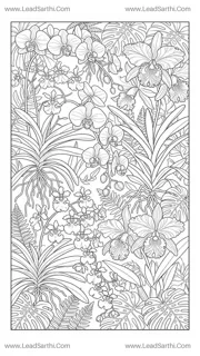 Exotic Orchid Haven: High-Detail Tropical Botanical Coloring Page for Grown-Ups Design Template