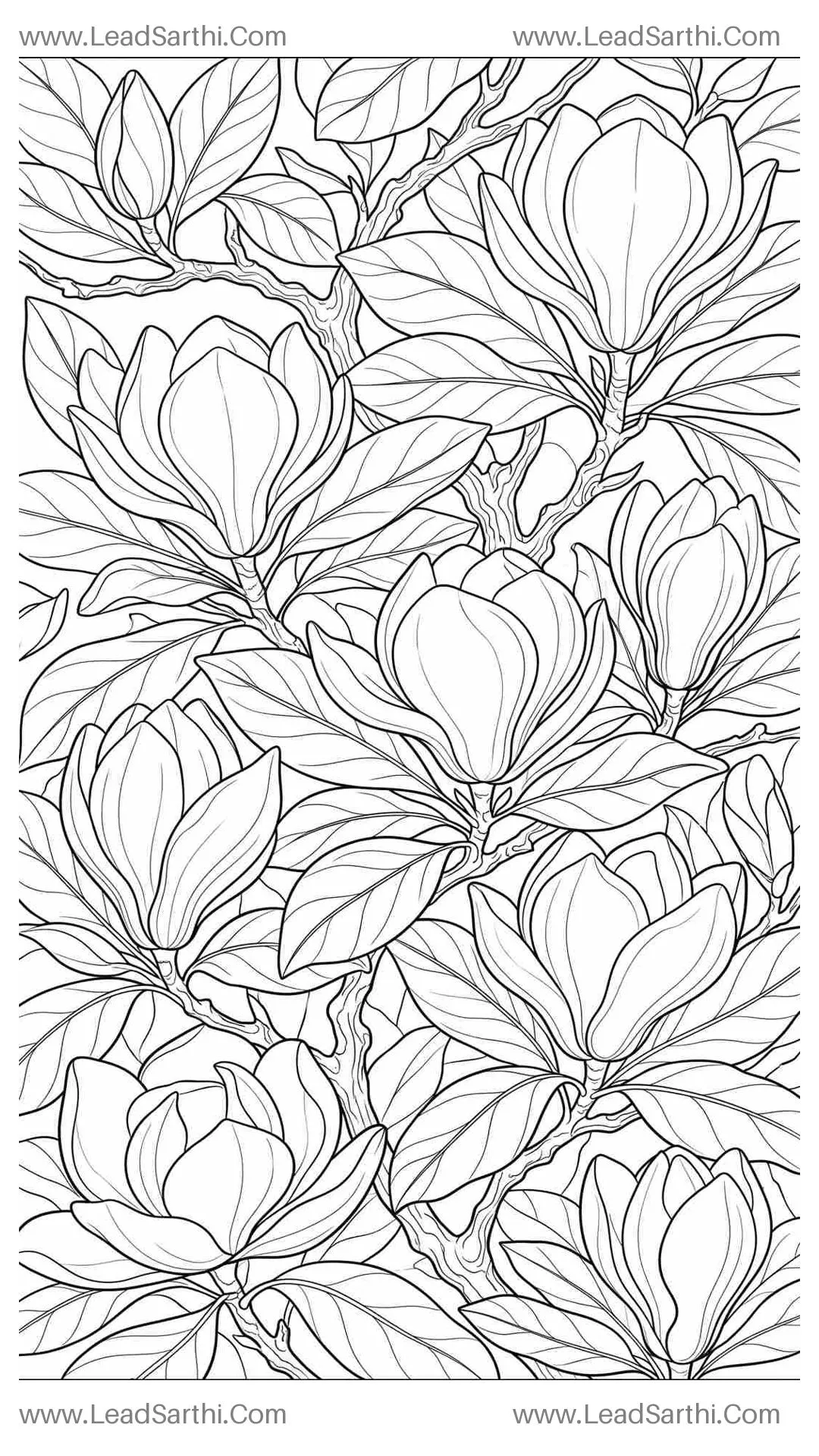 Southern Magnolia Canopy: Detailed Borderless Flat-Lay Botanical Coloring Sheet Thumbnail