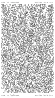 Windswept Lavender Field: Detailed Botanical Line Art Pattern for Adult Coloring Design Template