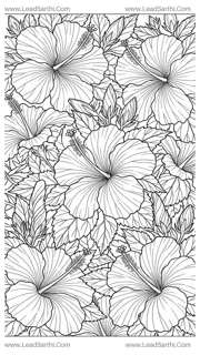 Tropical Hibiscus Paradise: Detailed Full-Page Flat-Lay Floral Coloring Sheet Design Template
