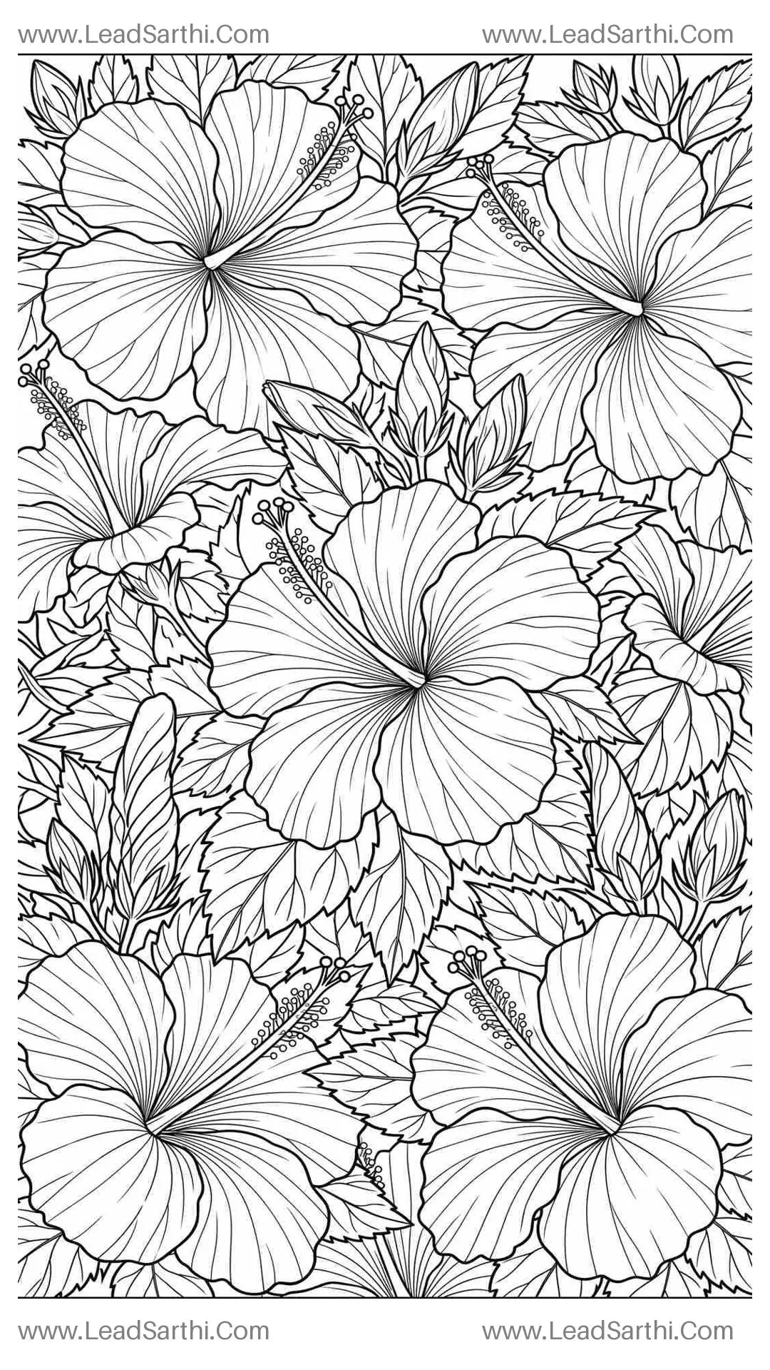 Tropical Hibiscus Paradise: Detailed Full-Page Flat-Lay Floral Coloring Sheet Thumbnail