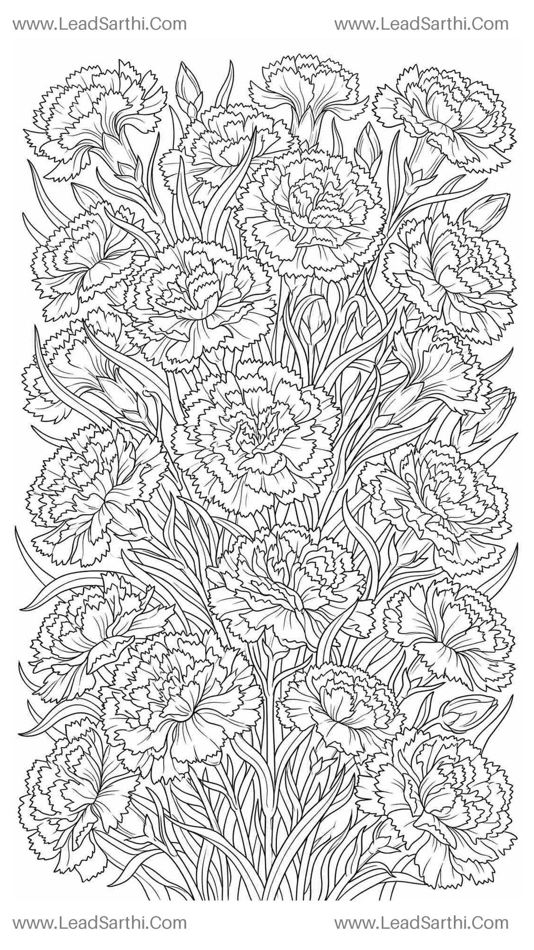 Fringed Carnation Blossom Cluster: Intricate Textured Floral Coloring Page for Adults Thumbnail