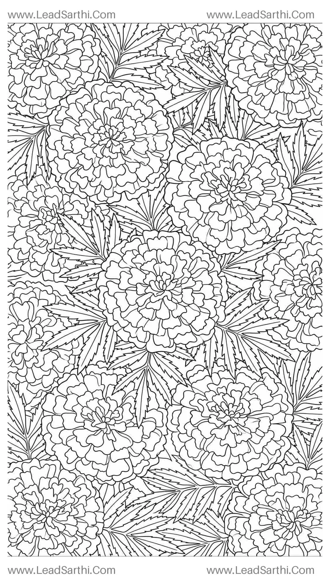 Festive Marigold Tapestry: High-Detail Full-Page Ruffled Floral Coloring Sheet Thumbnail