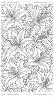 Majestic Stargazer Lily Pattern: Detailed Bold Floral Coloring Page for Grown-Ups Design Template