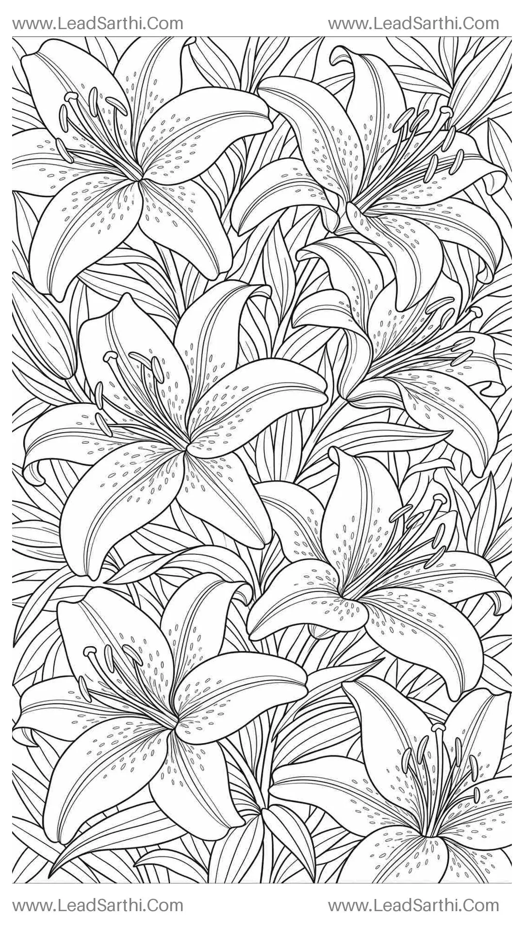 Majestic Stargazer Lily Pattern: Detailed Bold Floral Coloring Page for Grown-Ups Thumbnail