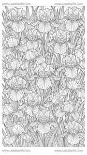 Royal Iris Garden: Full-Page Architectural Botanical Coloring Sheet for Adults Design Template