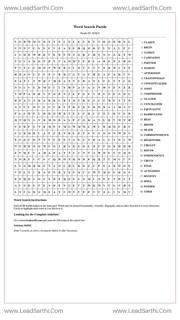 Printable word search puzzle for adults 477 (Puzzle id: 364842) Design Template