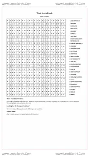 Printable word search puzzle for adults 424 (Puzzle id: 368682) Design Template