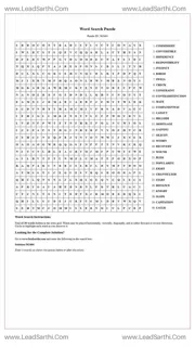 Printable word search puzzle for adults 508 (Puzzle id: 562464) Design Template