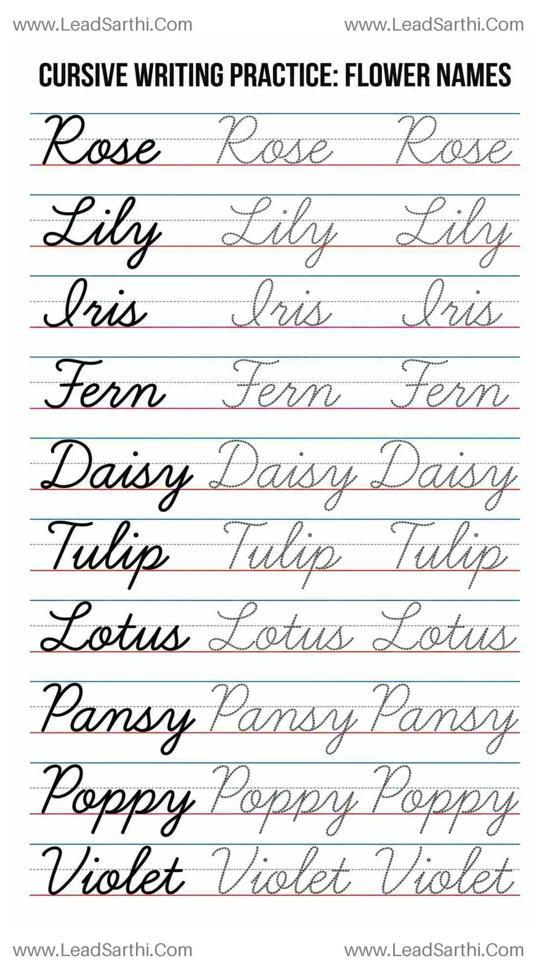 Elegant Flower Cursive Writing Sheet: Botanical Tracing Practice Template Thumbnail