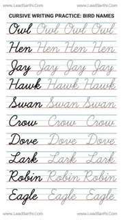 Cursive Bird Words Printable: Guided Penmanship for Beginning Writers Design Template