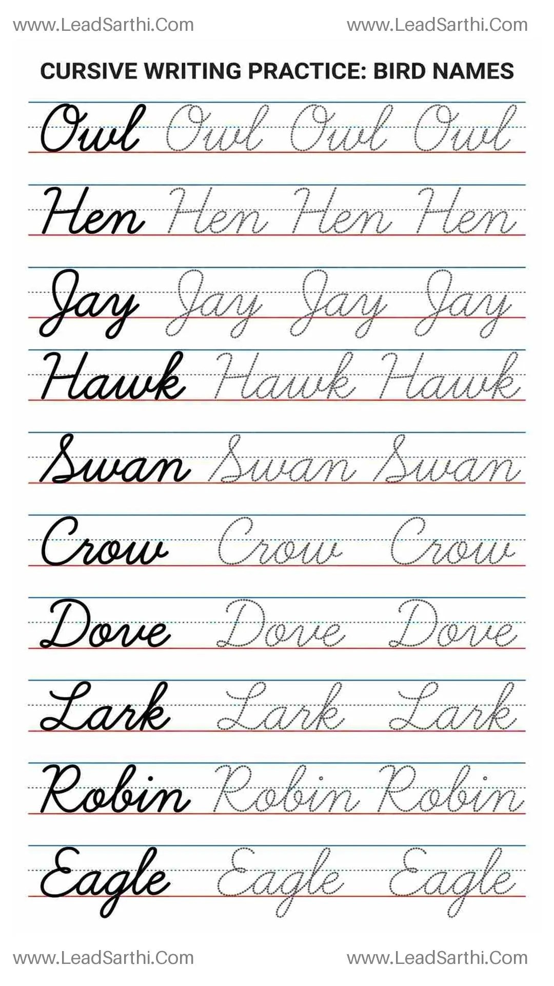 Cursive Bird Words Printable: Guided Penmanship for Beginning Writers Thumbnail
