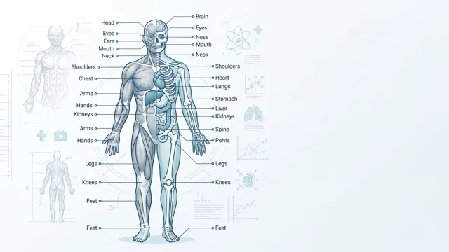 Diagram Category Poster Image